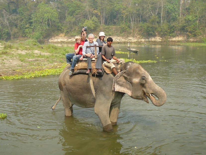 Jeep safari to be suspended in Chitwan National Park
