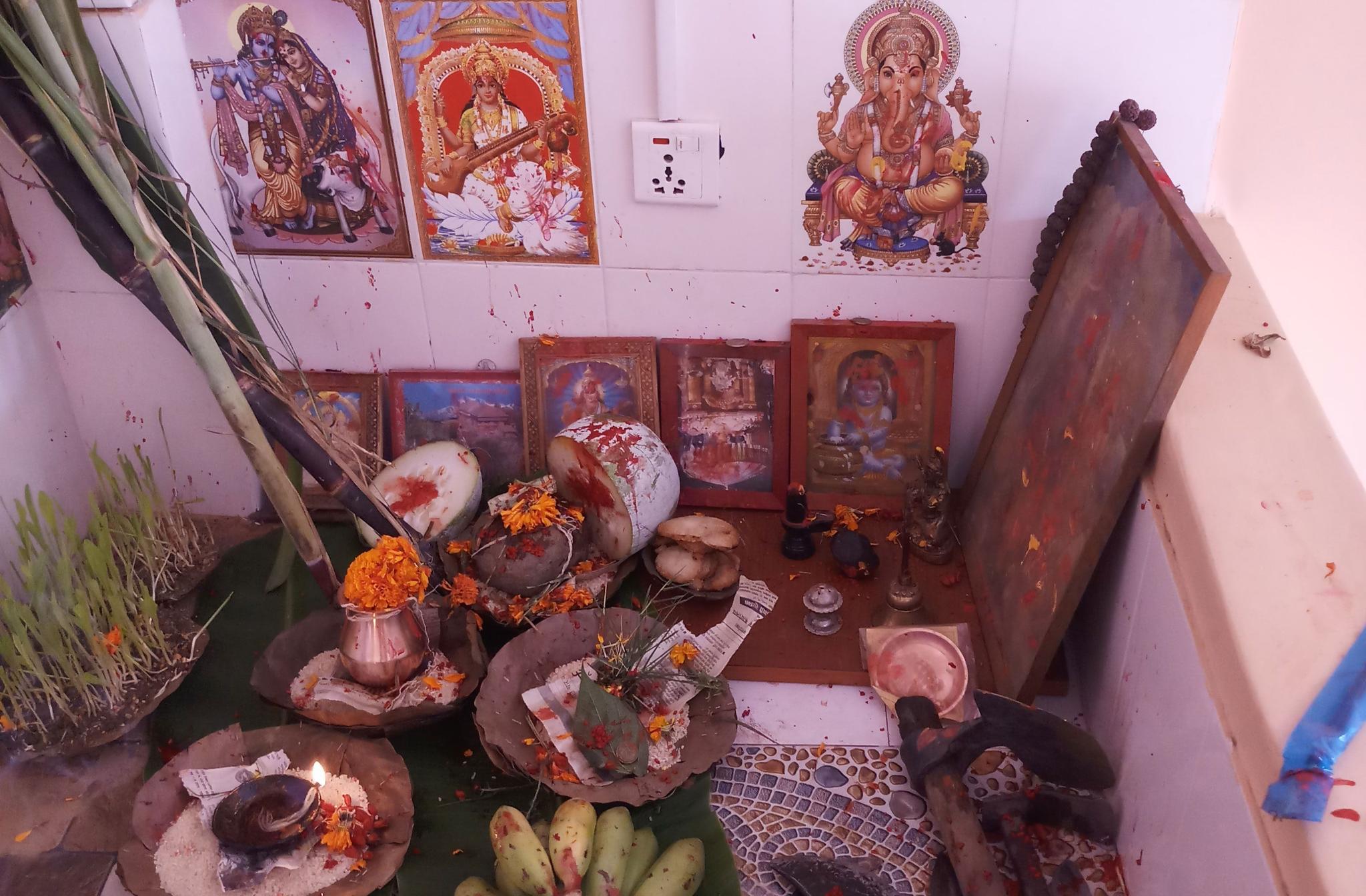 Hindus Dashain Festival begins